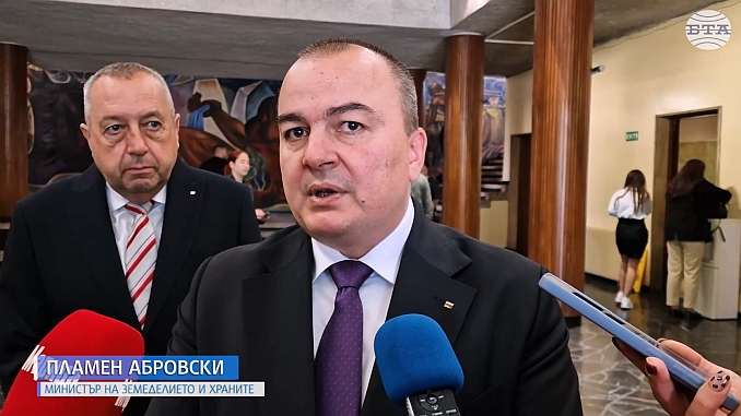 Пламен Абровски